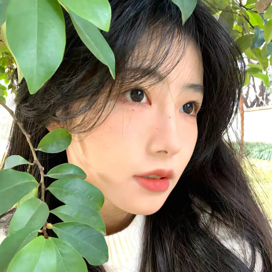 幻灭第五季